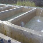 Fish Farming